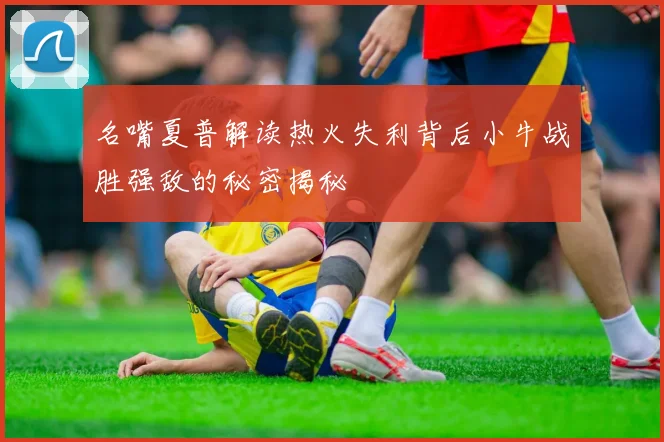 名嘴夏普解读热火失利背后小牛战胜强敌的秘密揭秘